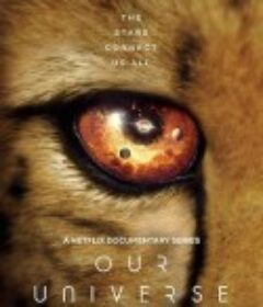 我们的浩瀚宇宙 Our Universe            (2022)