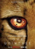 我们的浩瀚宇宙 Our Universe            (2022)