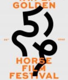 近十年金马颁奖典礼