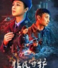 非凡守护            (2022)