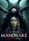 曼德拉草 Mandrake            (2022)