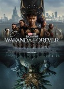 黑豹2 Black Panther: Wakanda Forever            (2022)