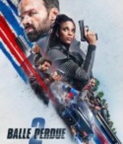 罪证子弹2 Balle perdue 2            (2022)