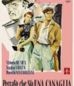 汽车女窃贼 Peccato che sia una canaglia            (1954)