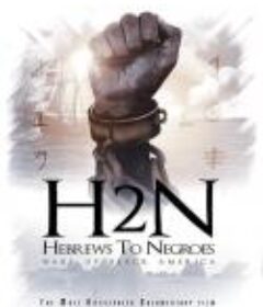从希伯来人到黑人：唤醒美国黑人 Hebrews to Negroes: Wake Up Black America            (2018)