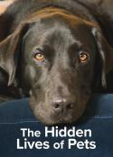宠物的秘密生活 The Hidden Lives of Pets            (2022)