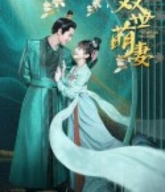 双世萌妻            (2022)