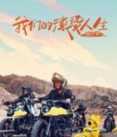 我们的滚烫人生 第二季            (2022)
