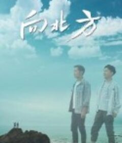 向北方            (2022)