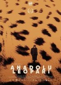 安纳托利亚豹 Anadolu Leopari            (2021)