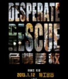 危情营救            (2012)