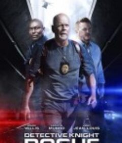 警探奈特：侠盗 Detective Knight: Rogue            (2022)