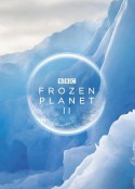 冰冻星球 第二季 Frozen Planet Season 2            (2022)