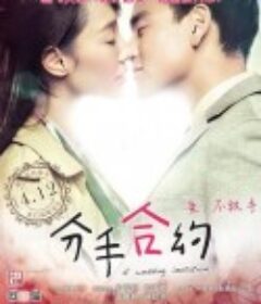 分手合约            (2013)