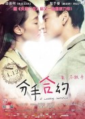 分手合约            (2013)