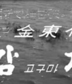 土豆 감자            (1968)