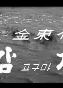 土豆 감자            (1968)