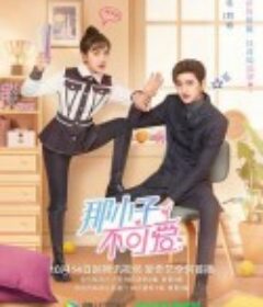 那小子不可爱            (2022)