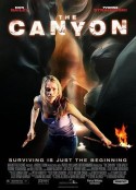 大峡谷 The Canyon            (2009)