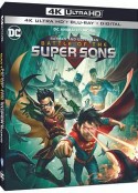 蝙蝠侠和超人：超凡双子之战 Batman and Superman: Battle of the Super Sons            (2022)