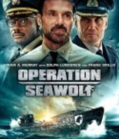 海狼行动 Operation Seawolf            (2022)