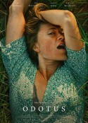 等待 Odotus            (2021)
