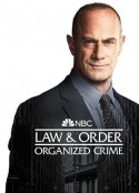 法律与秩序：组织犯罪 第三季 Law &amp; Order: Organized Crime Season 3            (2022)