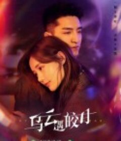 乌云遇皎月            (2022)