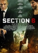 暗影特工 Section Eight            (2022)