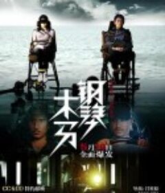 钢琴木马            (2013)