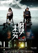 钢琴木马            (2013)
