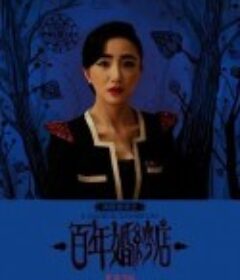 百年婚纱店            (2012)