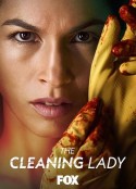 清洁工 第二季 The Cleaning Lady Season 2            (2022)