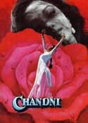 月光 Chandni            (1989)