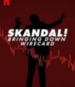 金融丑闻：揭发Wirecard诈骗案 Skandal! Bringing Down Wirecard            (2022)