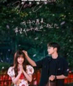 两个人的小森林            (2022)