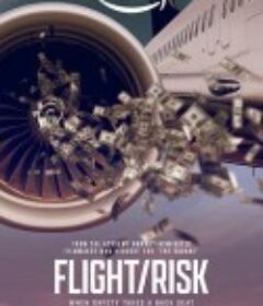 生死航班 Flight/Risk            (2022)