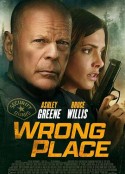 错误的地方 Wrong Place            (2022)