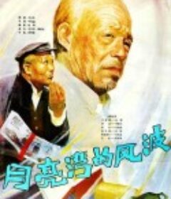 月亮湾的风波            (1984)