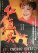 红盖头            (1996)