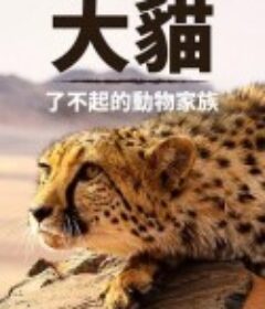 猫科动物：奇妙的动物家族 Big Cats: An Amazing Animal Family            (2015)