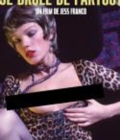 Je brûle de partout            (1979)