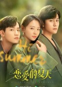 恋爱的夏天            (2022)