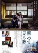 半梦半醒之间 醒めながら見る夢            (2014)