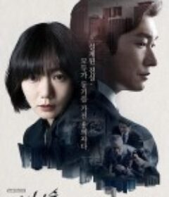 秘密森林 비밀의 숲            (2017)