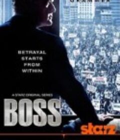 风城大佬 第一季 Boss Season 1            (2011)