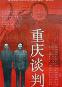 重庆谈判            (1993)