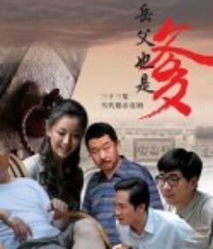 接班女婿            (2015)