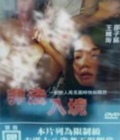 非法入境            (1997)