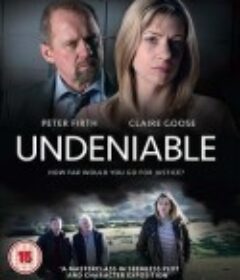 无可辩驳 Undeniable            (2014)